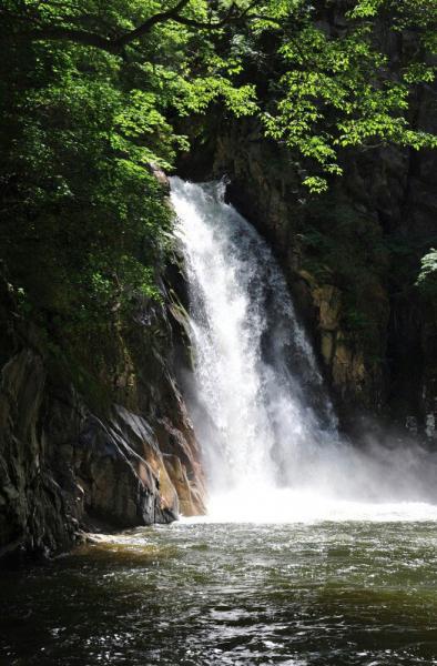 你不知道的陕西美景——天台山国家森林公园