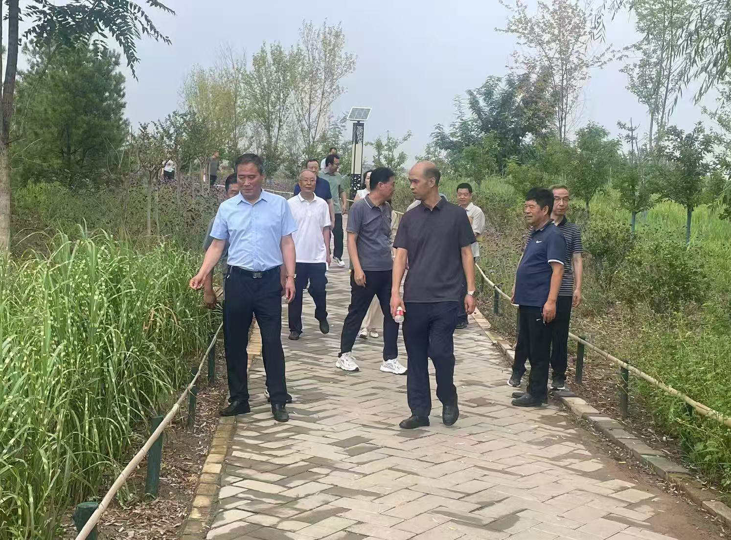 陕西省黄河流域生态保护项目通过市林业局竣工验收