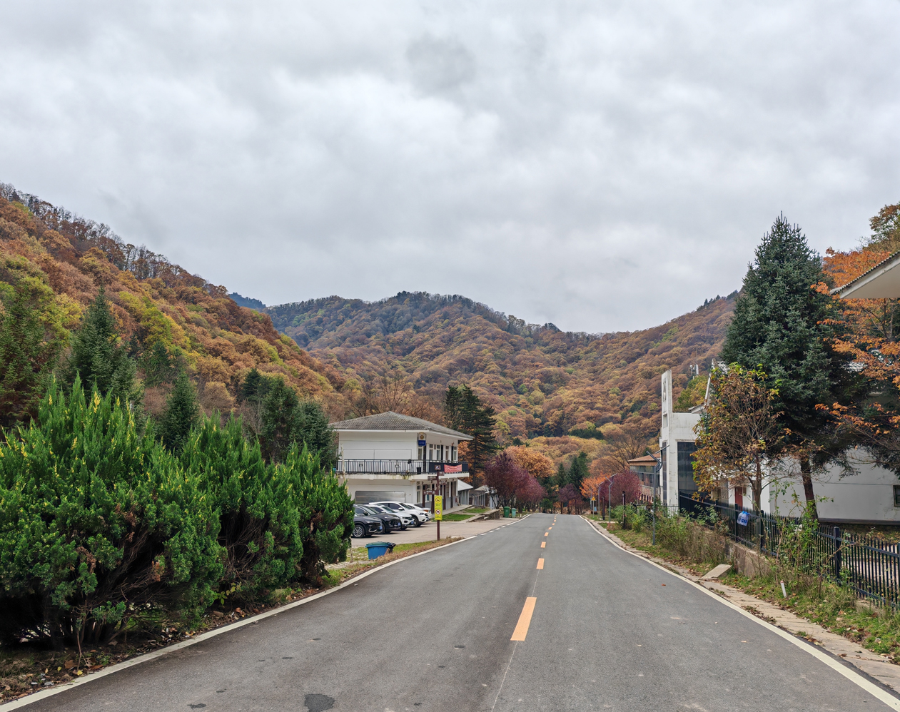 秋染嘉陵江源 秋染嘉陵江源