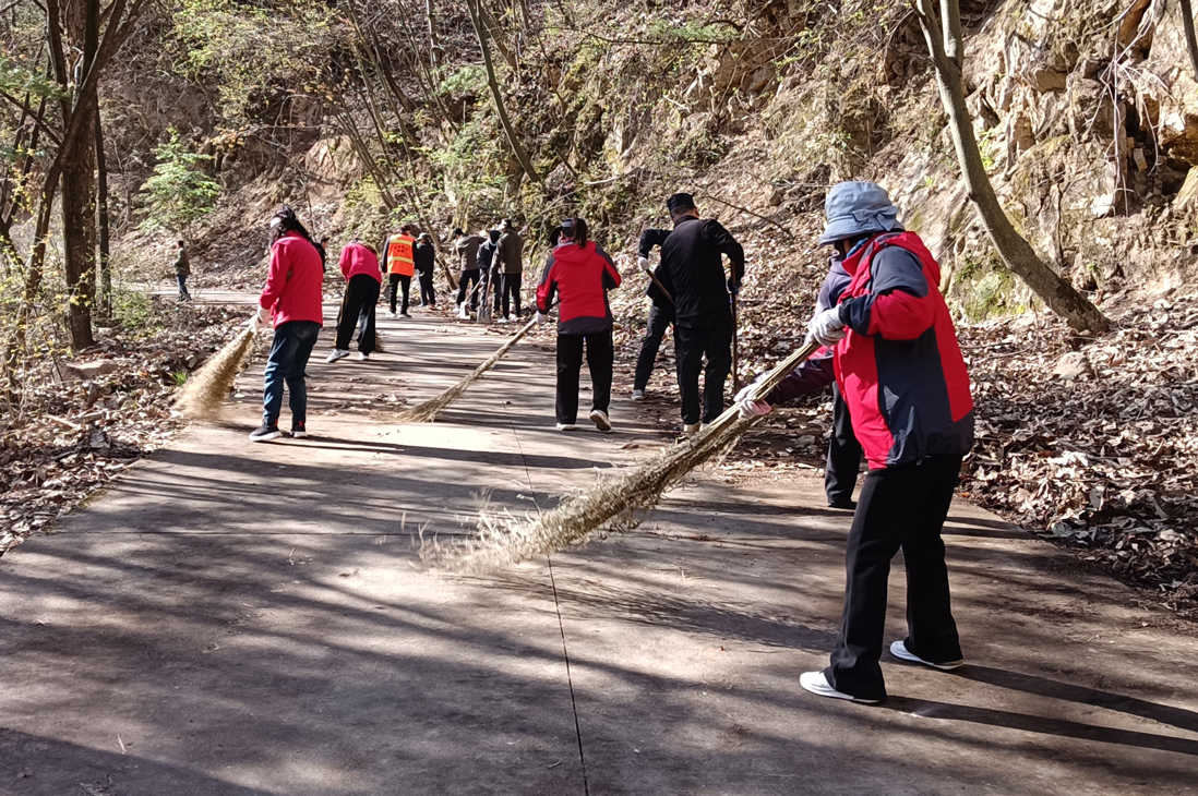 清理林区可燃物，筑牢森林“防火墙”