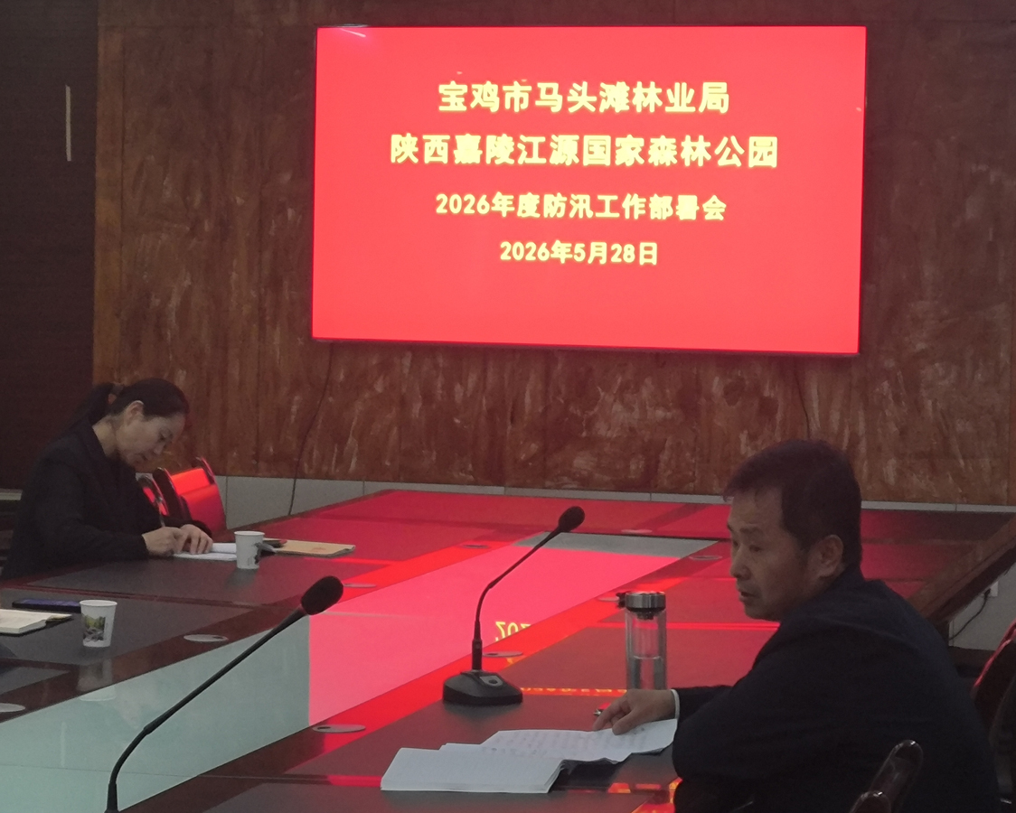 市马头滩林业局部署防汛减灾及林区安全防范工作