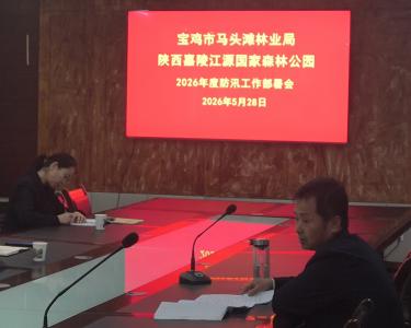 市马头滩林业局部署防汛减灾及林区安全防范工作