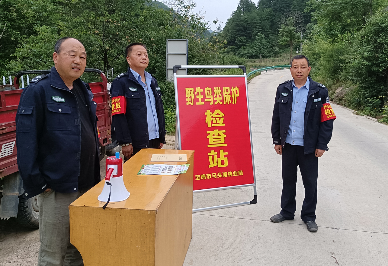 守护秦岭精灵 做鸟类的安全卫士