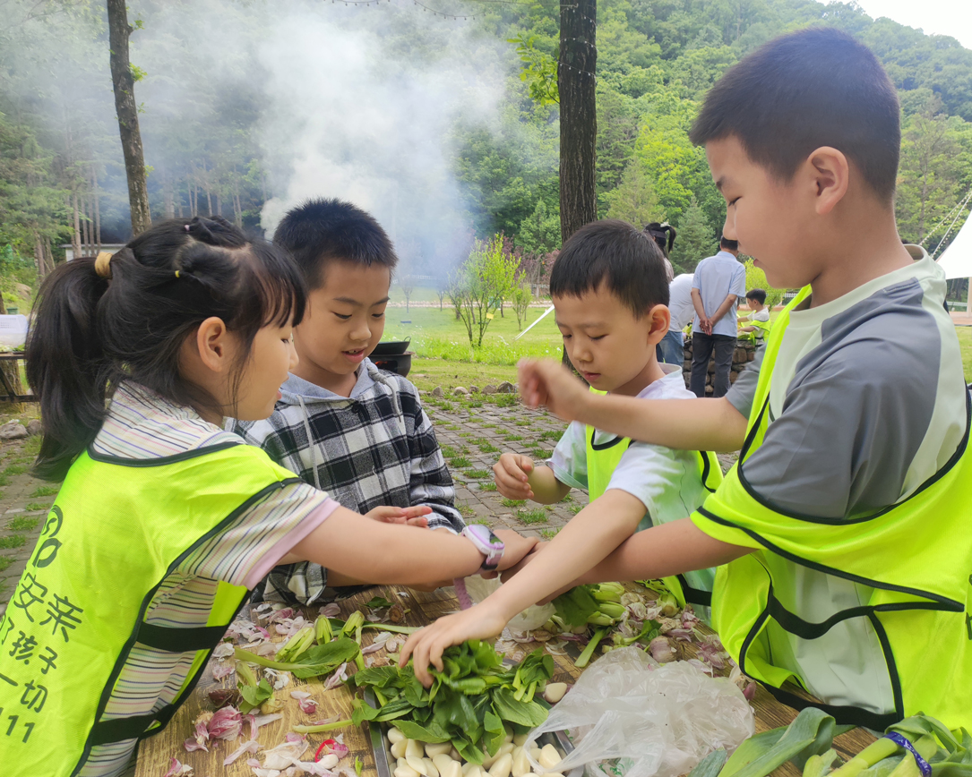“森林知识科普与动手能力”双提升拓展训练班走进嘉陵江源国家森林公园
